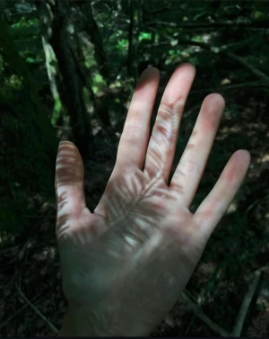 491015542_1007837024647426_2107538109655248695_n-1800x.webp